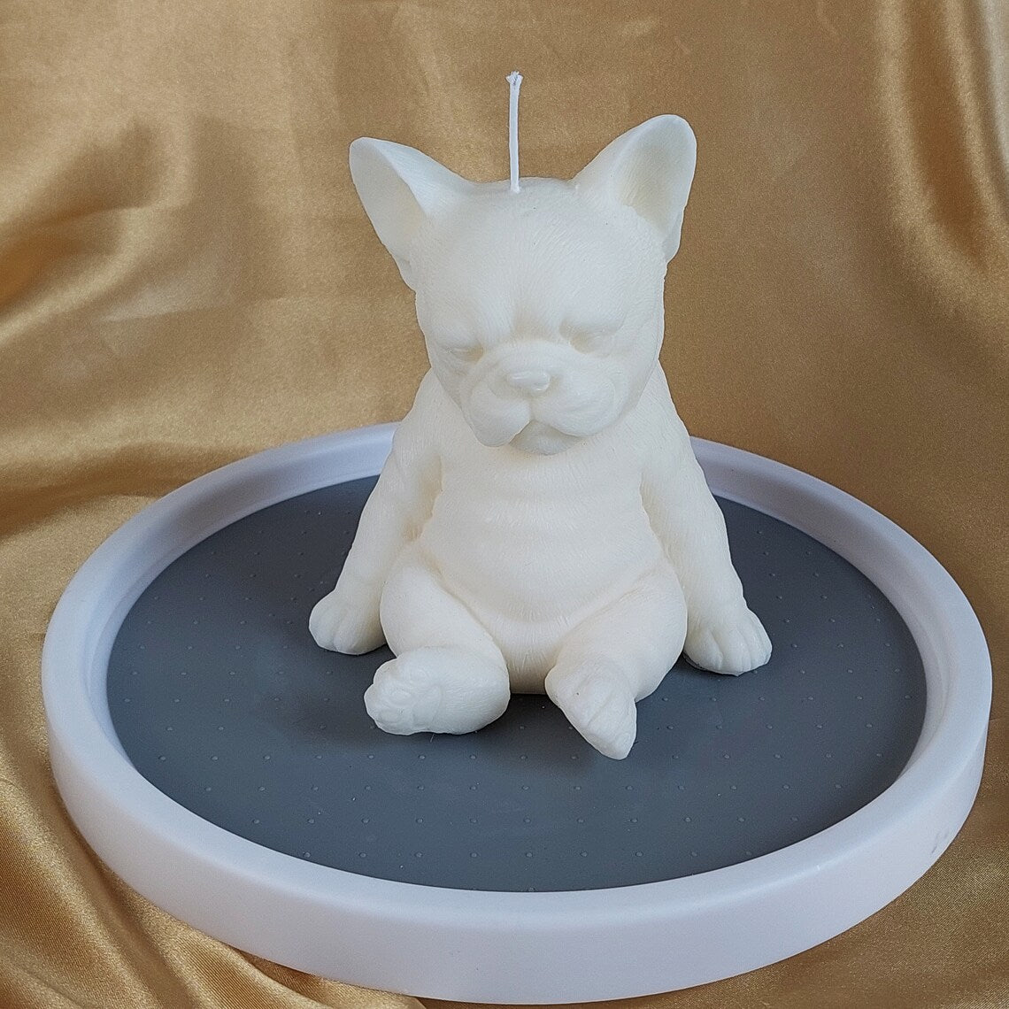 Sitting Frenchie Puppy