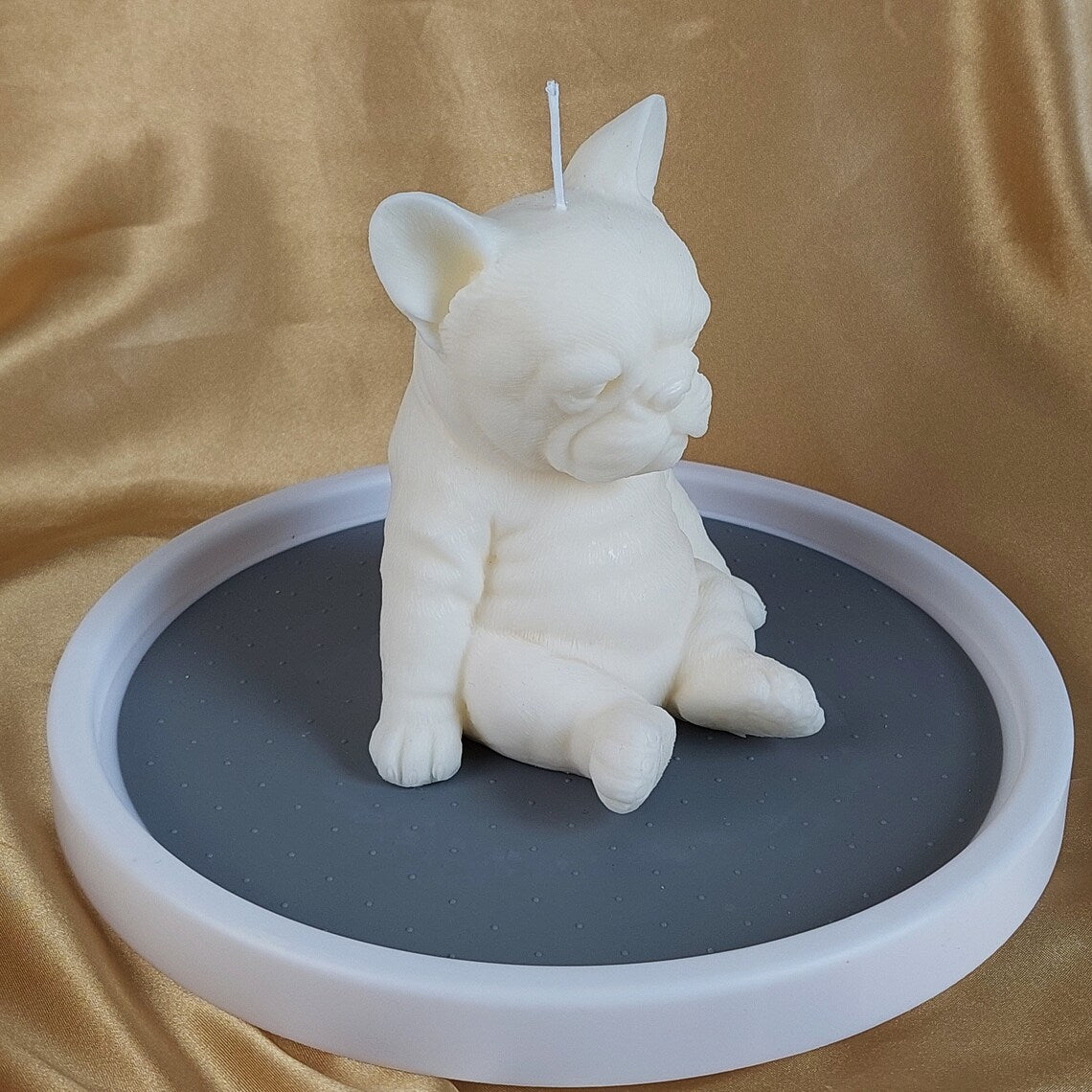 Sitting Frenchie Puppy
